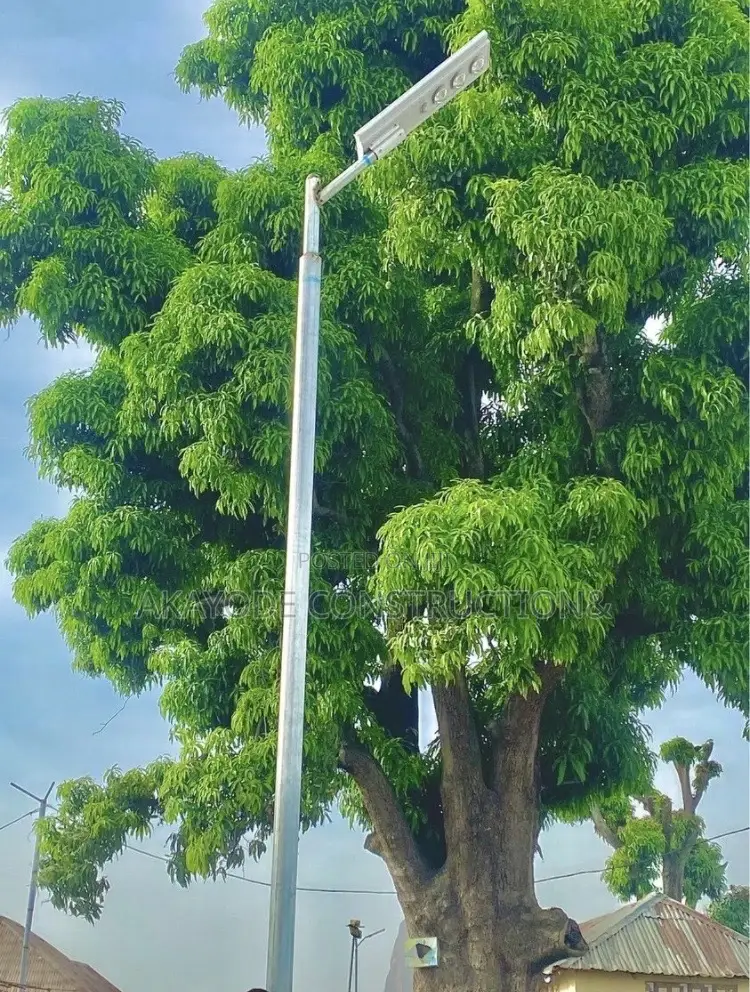 Durable Street Light Pole