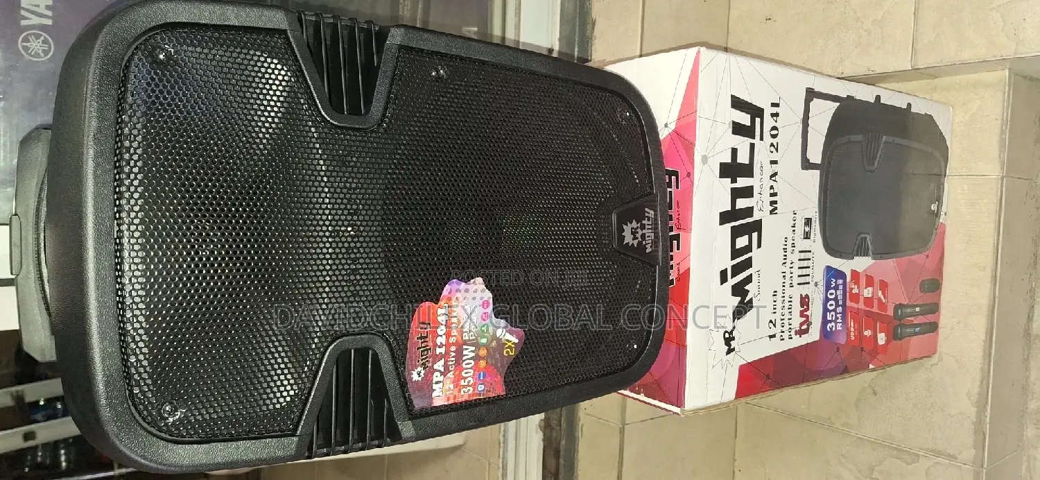 12inches Public Address System