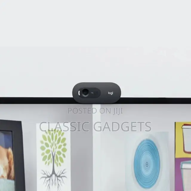 Logitech C505E Business Webcam
