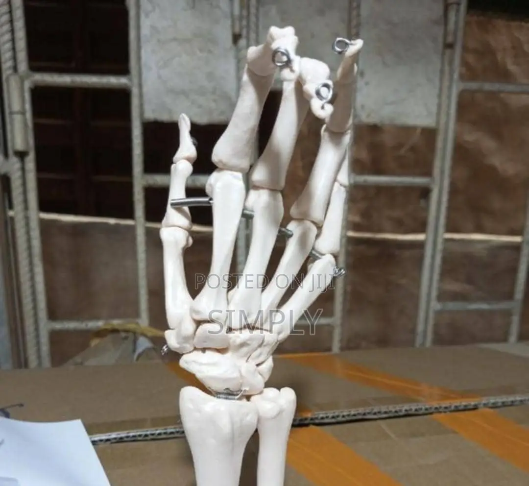 Human Hand Joint