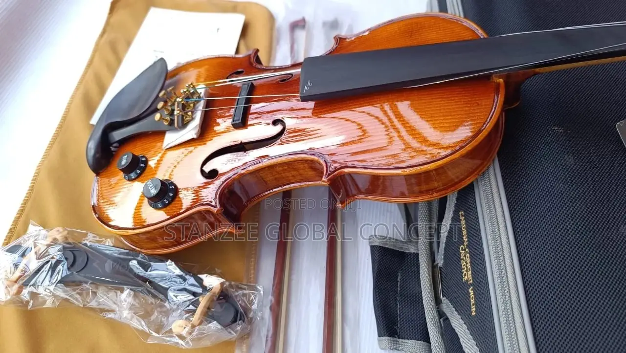 Cardinal Masterpiece CAV201E Electro Acoustic Concert Violin