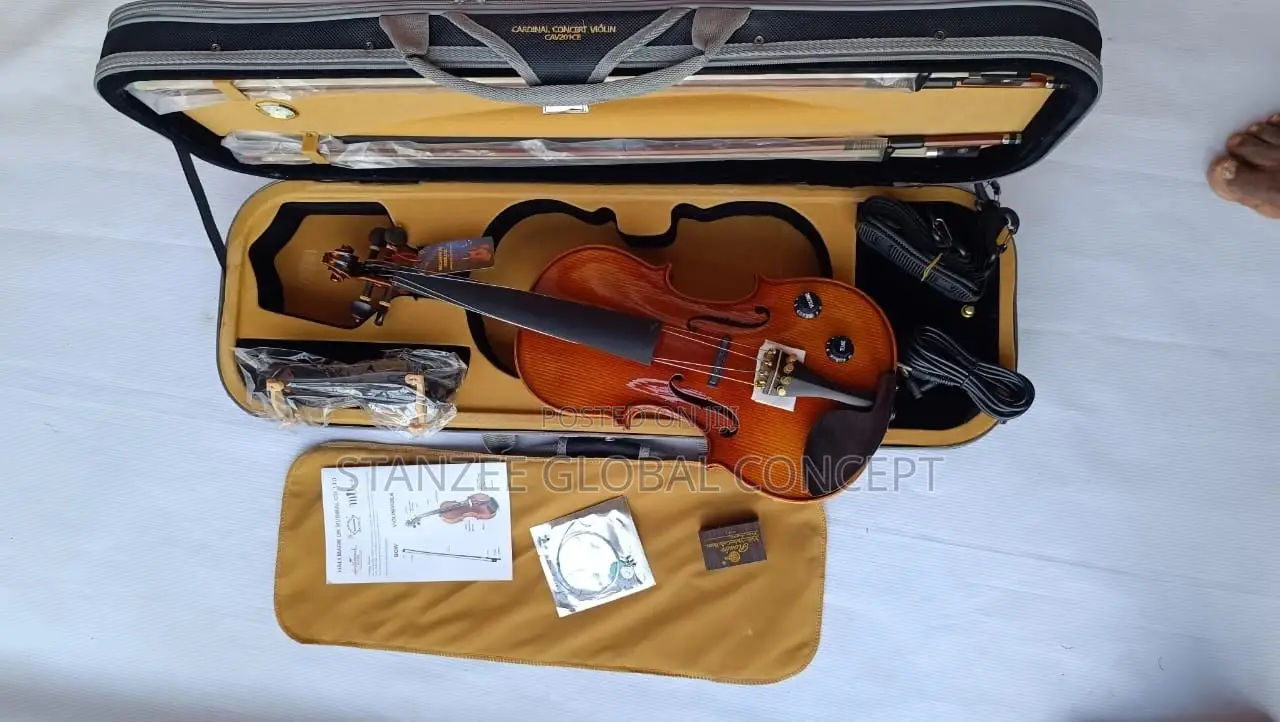 Cardinal Masterpiece CAV201E Electro Acoustic Concert Violin