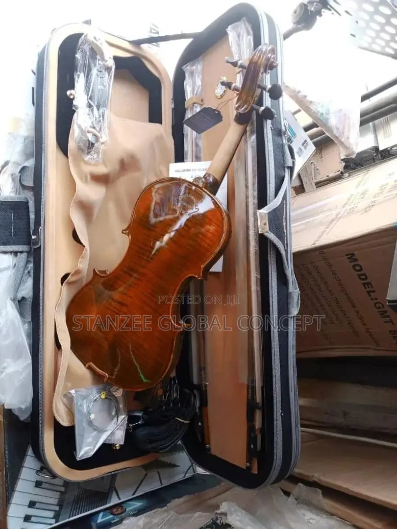 Cardinal Masterpiece Cav201c 4/4 Concert Violin