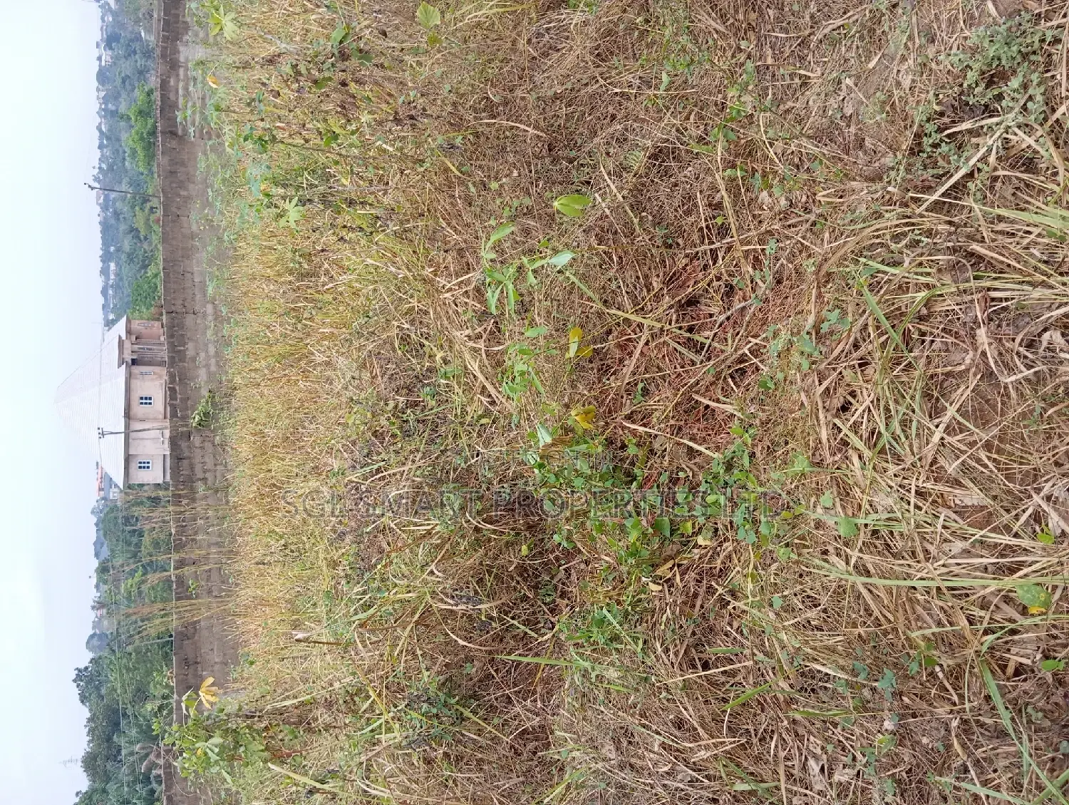 About 1000 SQM Plot of Land for Sale