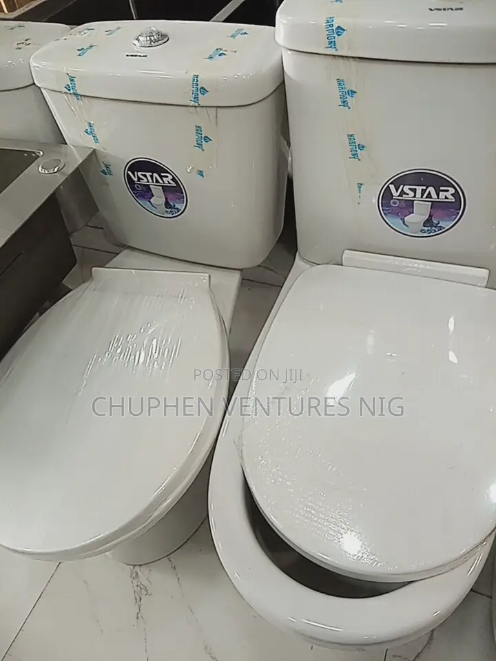Vista Toilet Sink