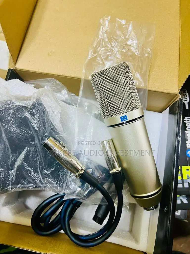 Studio Condenser Microphone With Shock Mount and XLR Cable