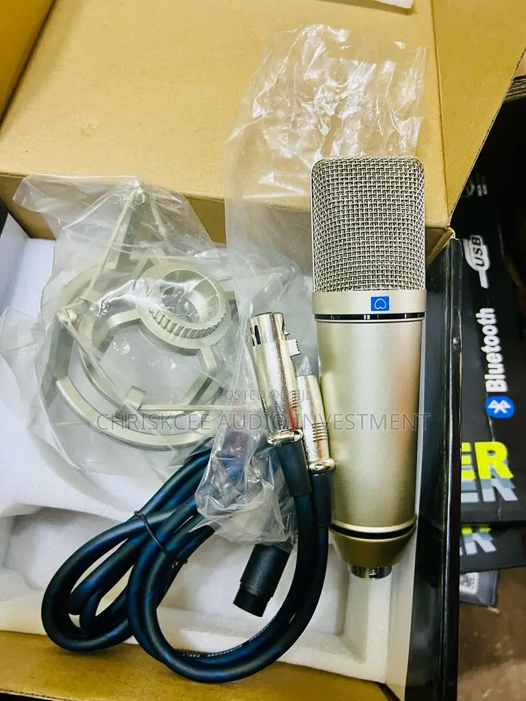Studio Condenser Microphone With Shock Mount and XLR Cable