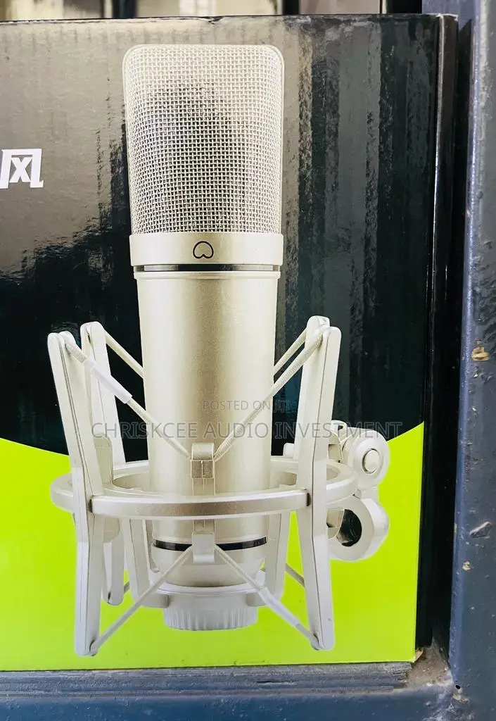 Studio Condenser Microphone With Shock Mount and XLR Cable
