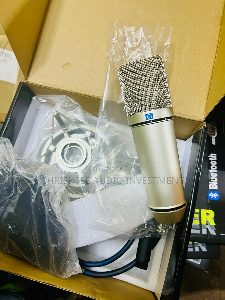 Studio Condenser Microphone With Shock Mount and XLR Cable