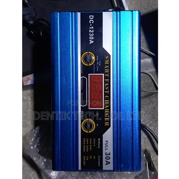 Dc12v 30a Battery Charger for Cars and Inverters