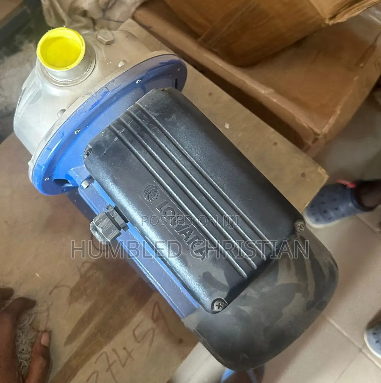 2hp Lowara Italian Stainless Pump
