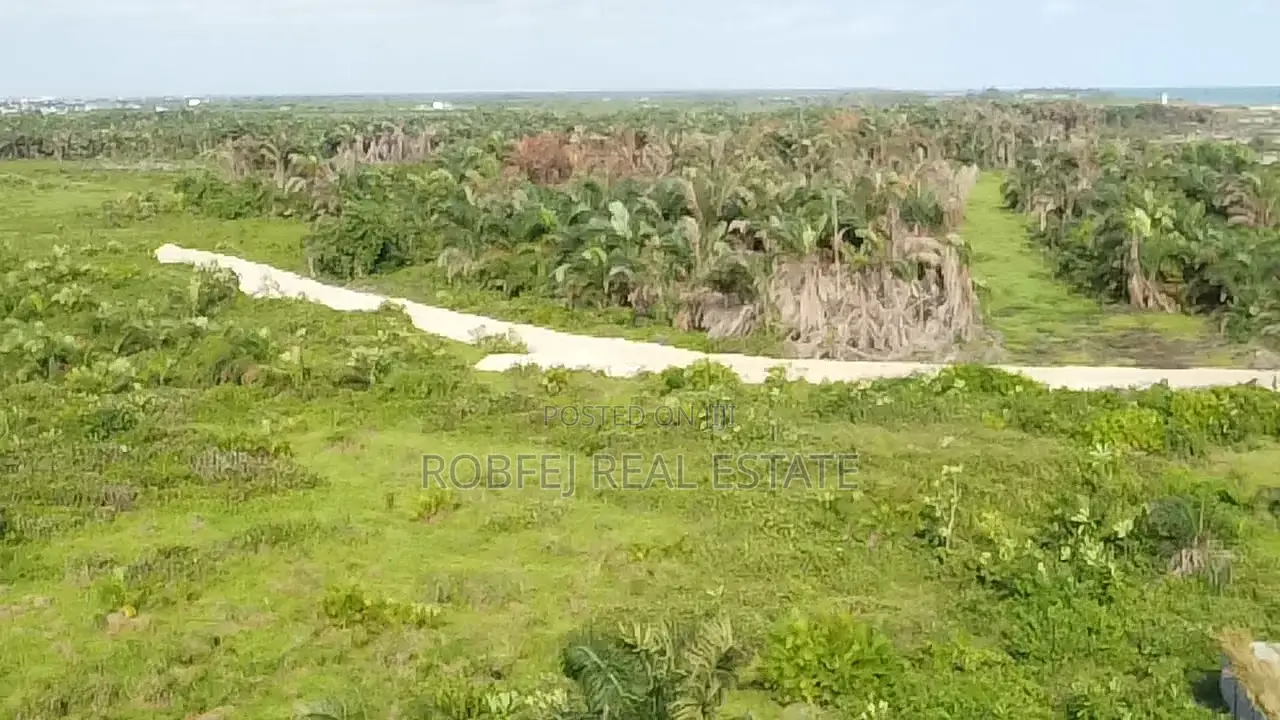 Unveiling the Coastal Oasis