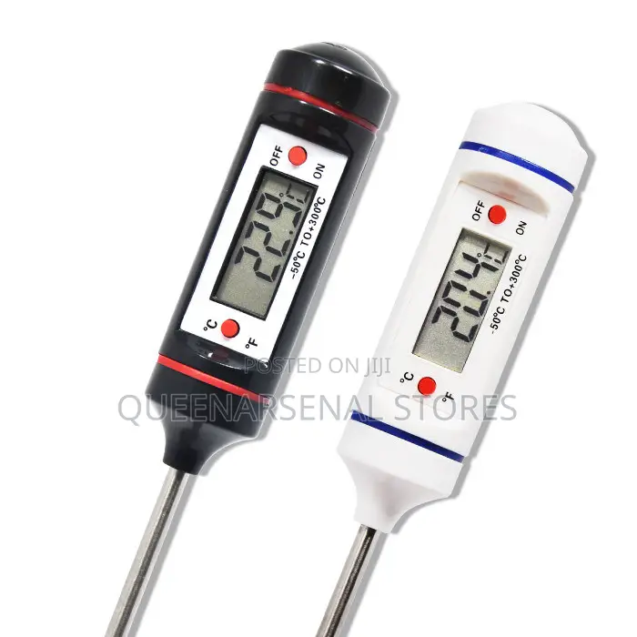 Digital Thermometer for Food Processing