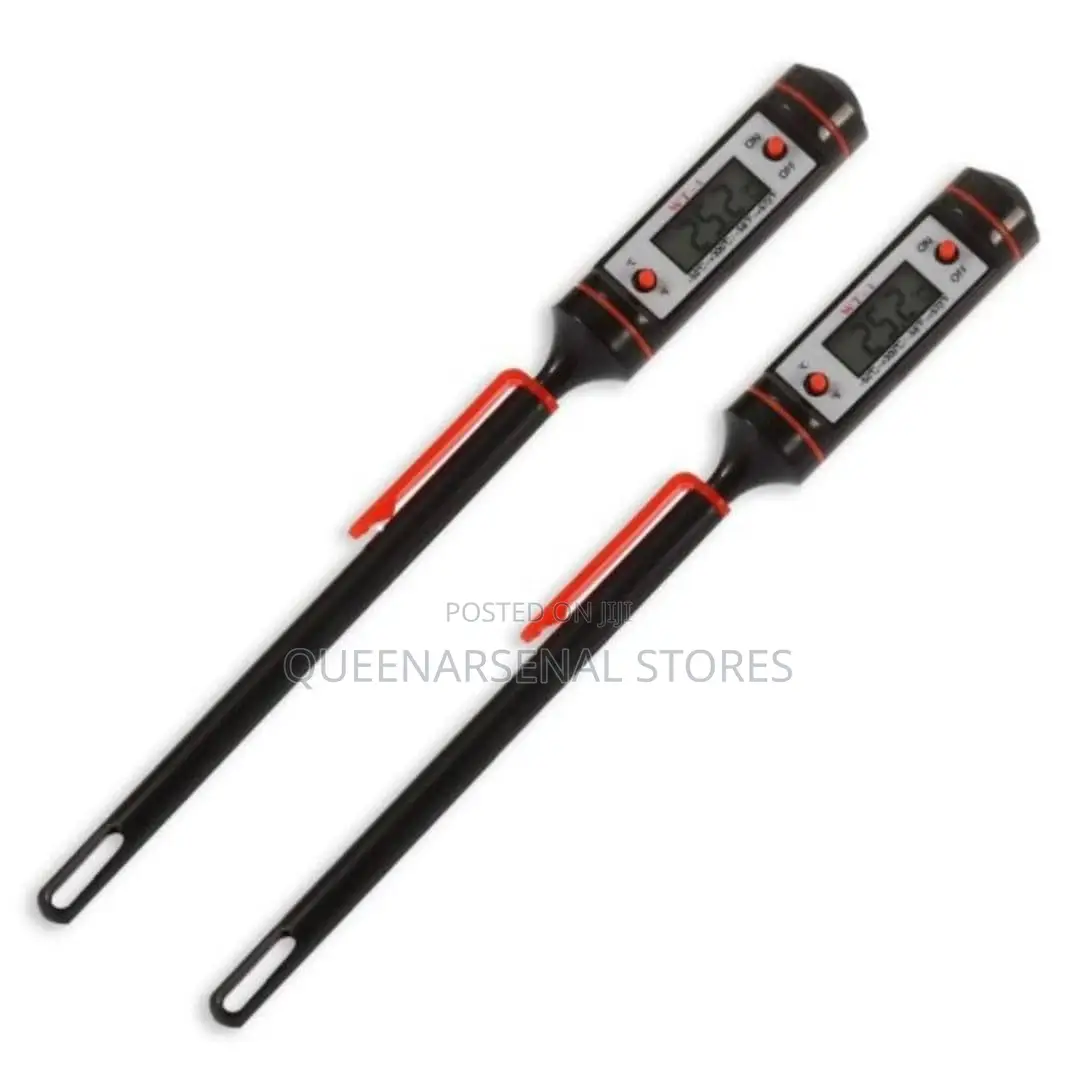 Digital Thermometer for Food Processing