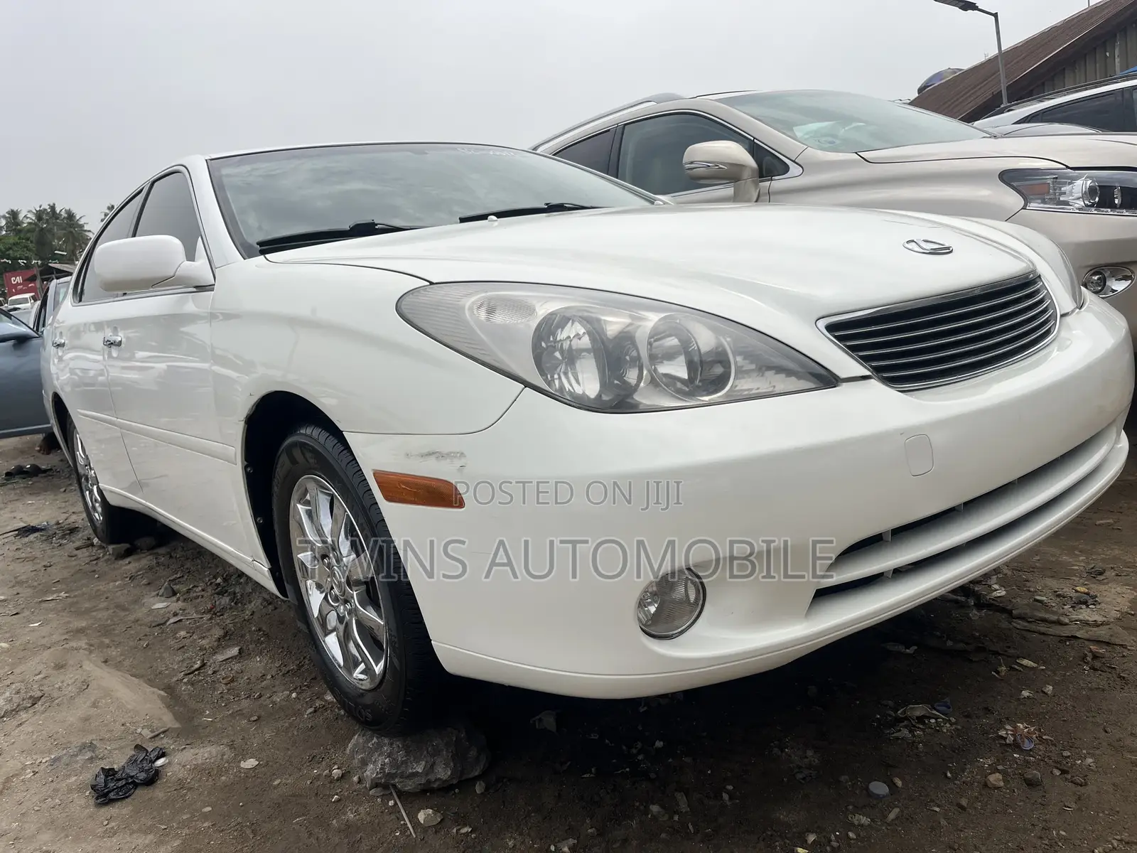 Lexus ES 330 2005 White