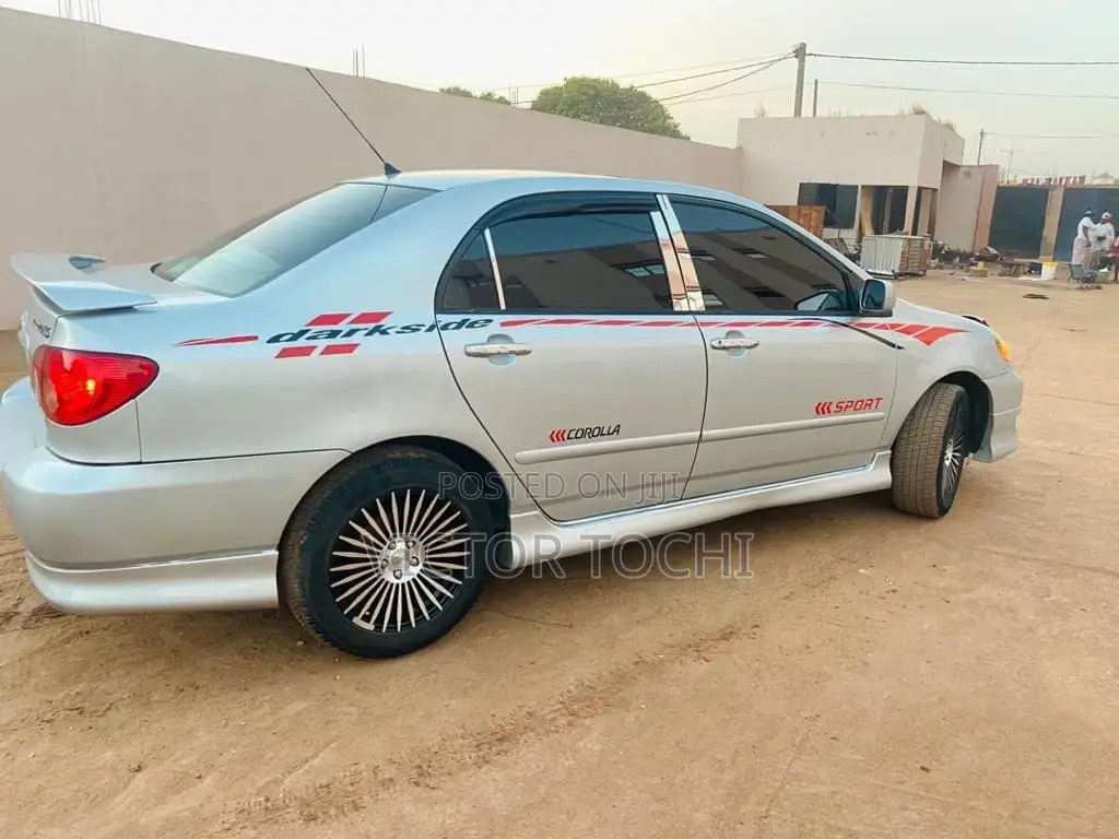 Car Body Stickers