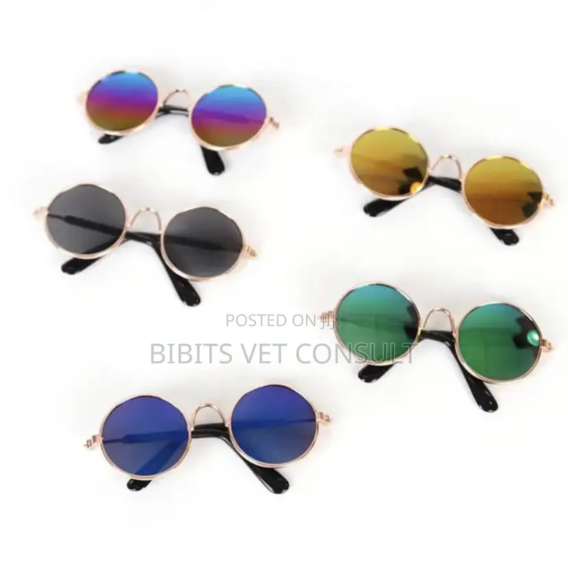 Colorful Pet Sunglasses for Cat and Small Pets