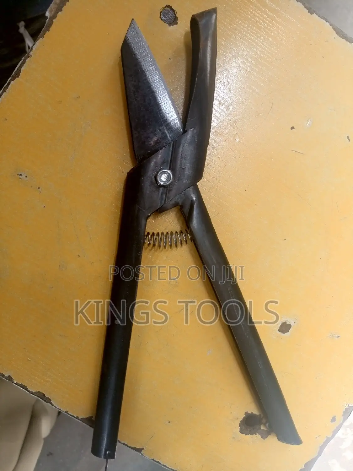 Cashew Scissors