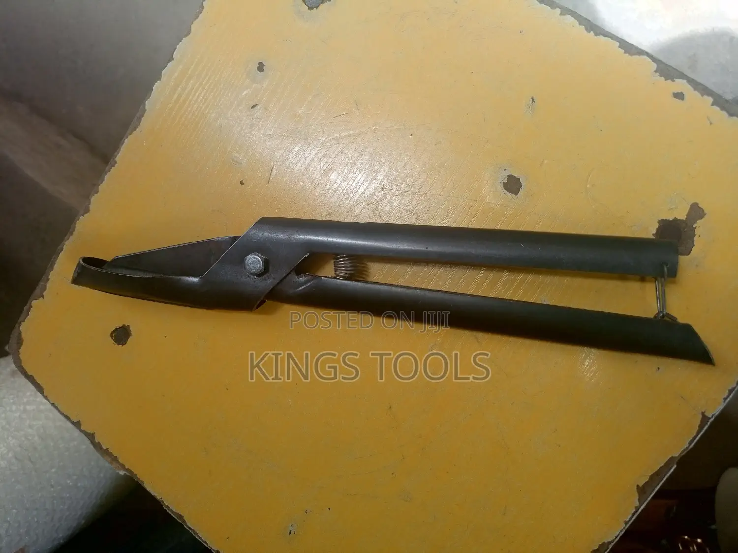 Cashew Scissors