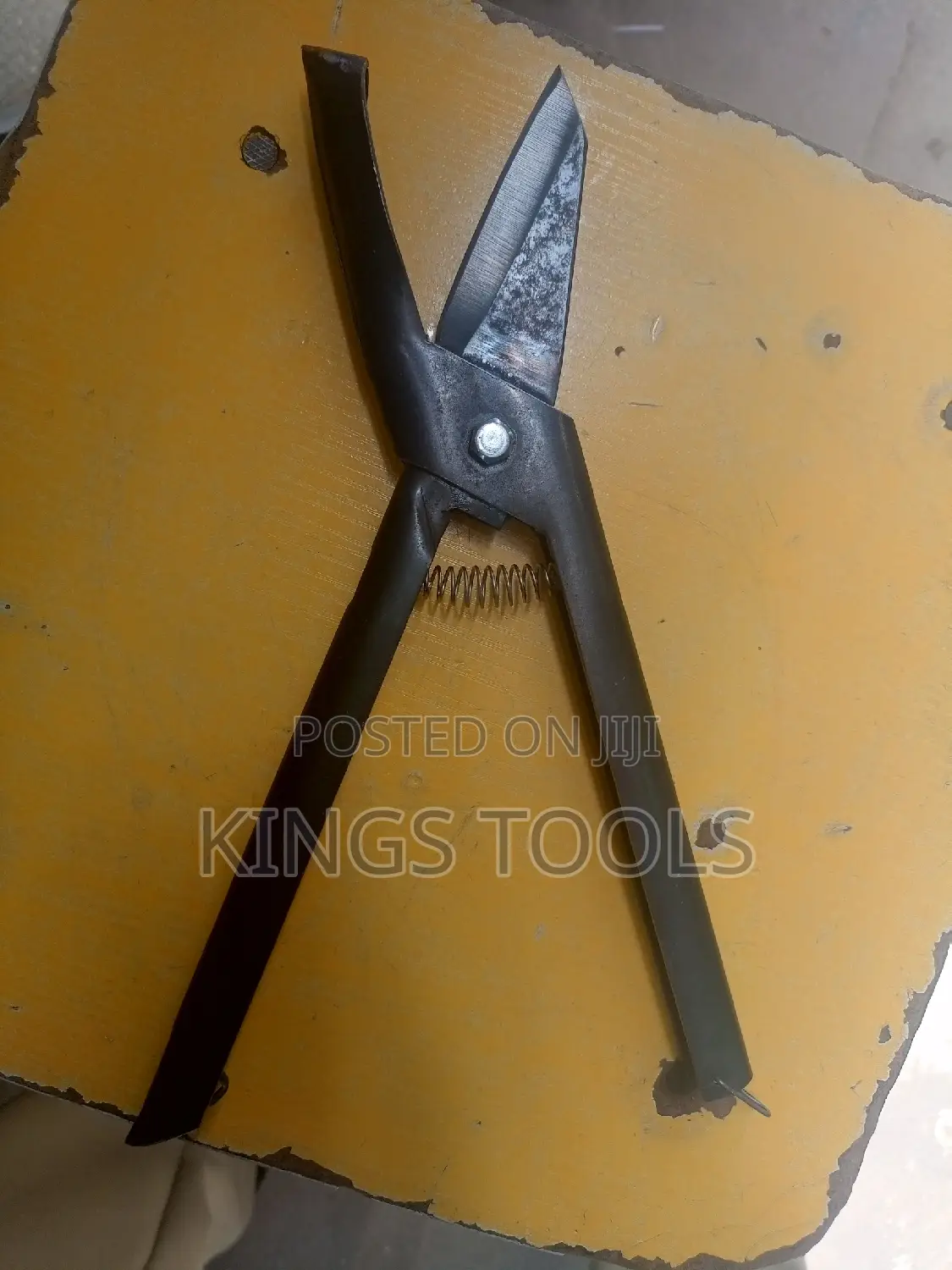 Cashew Scissors