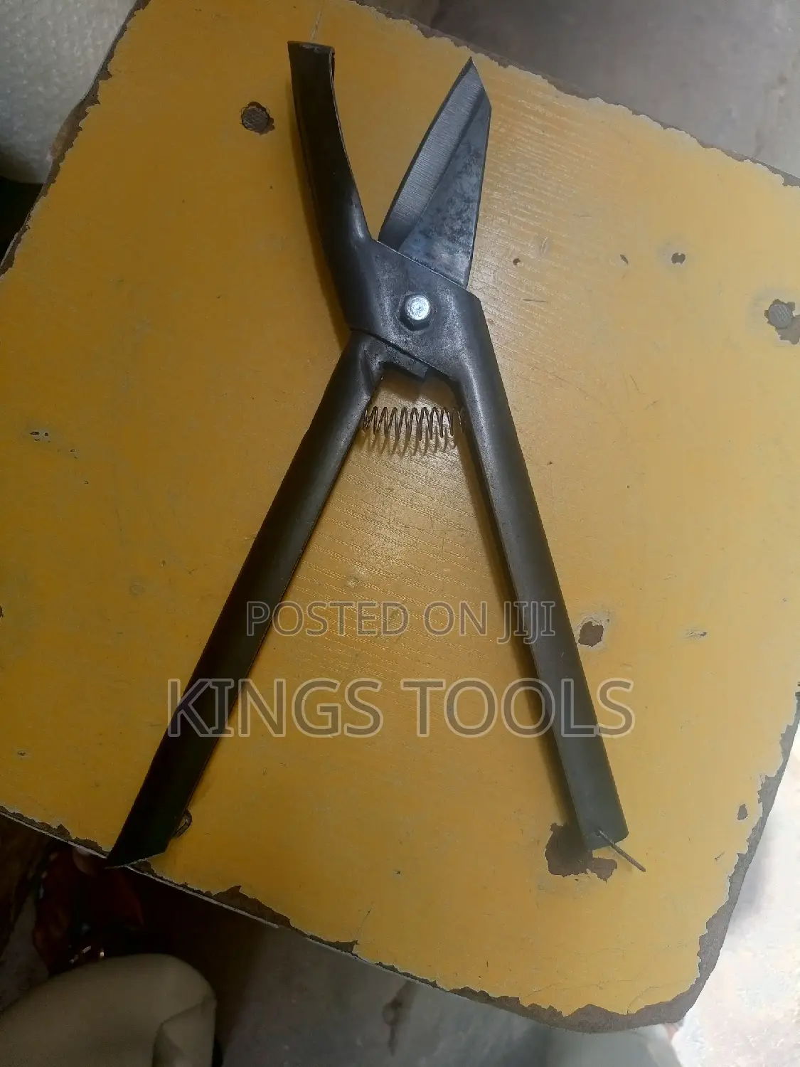 Cashew Scissors