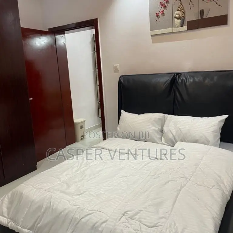 Furnished Mini Flat in Lekki for rent