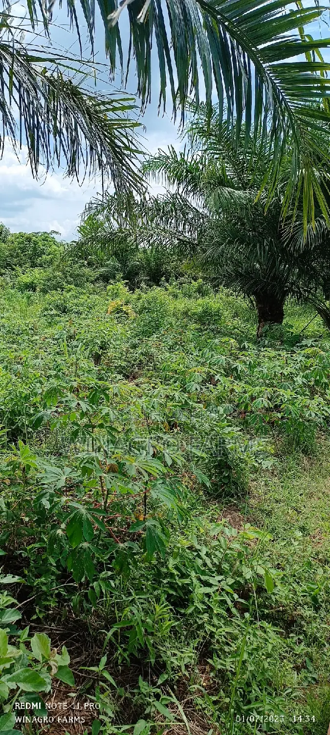 For Sale;Acres of Farm Land in Abeokuta North