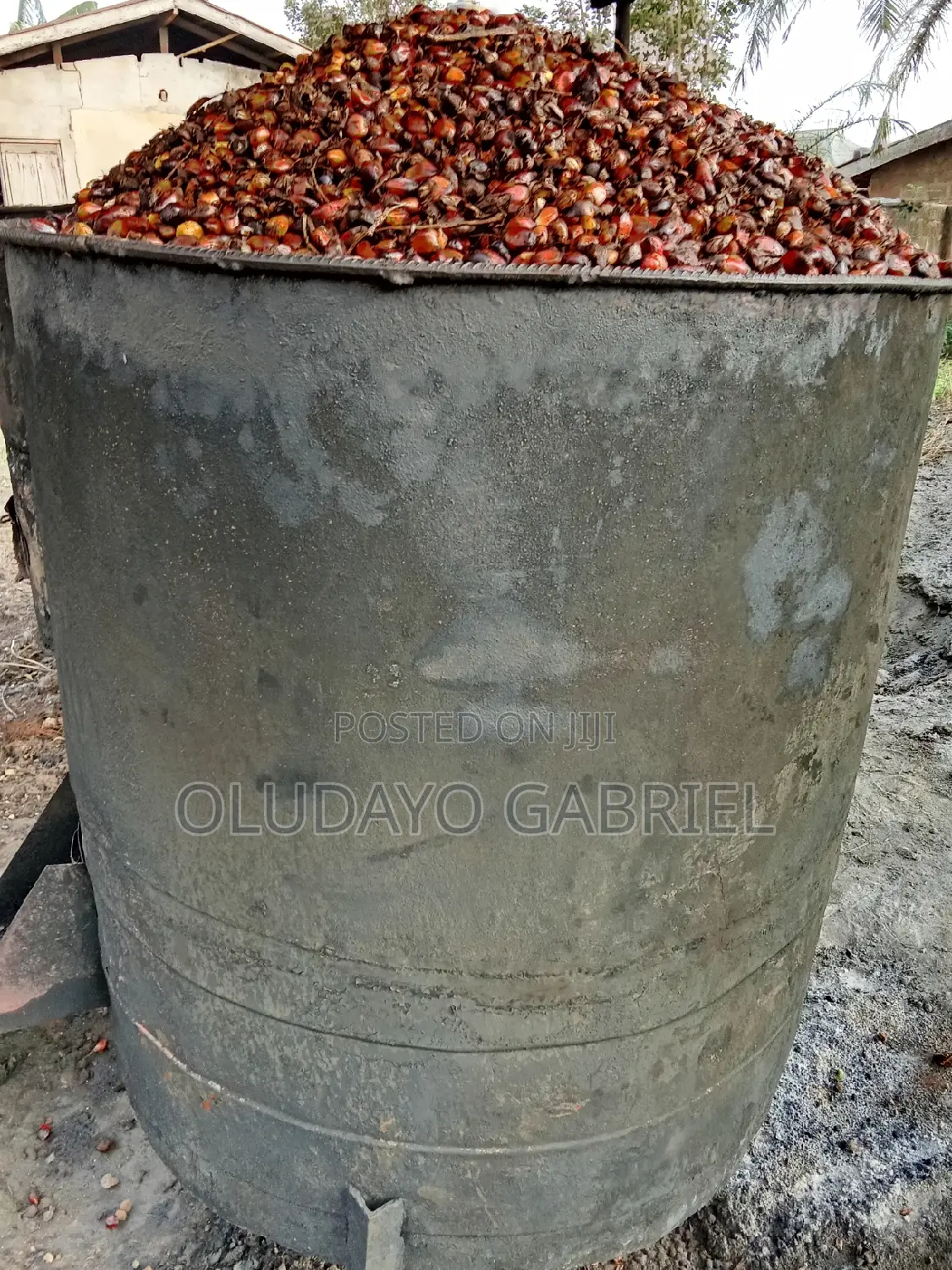 Palm Fruits Steam Boiler