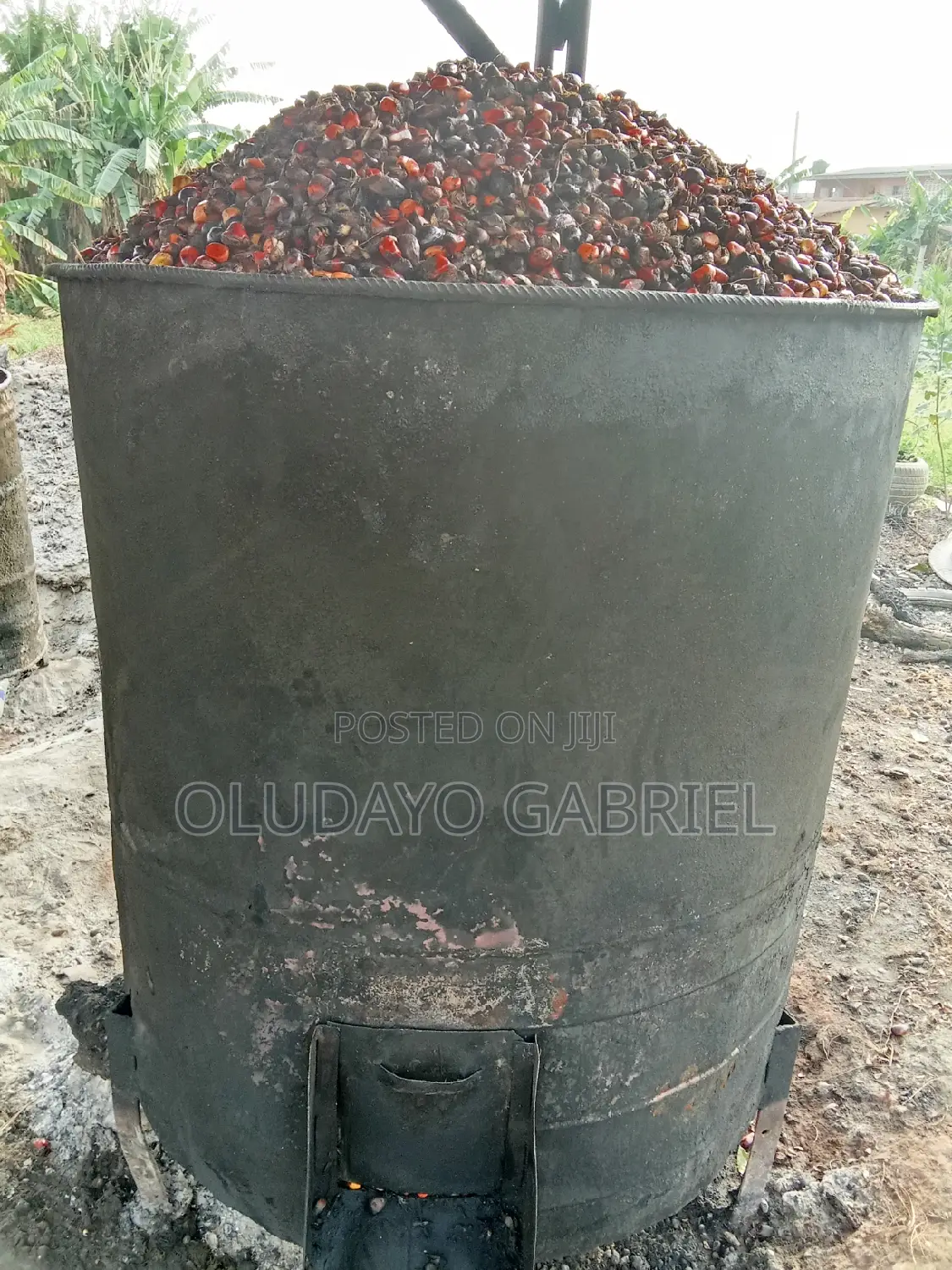 Palm Fruits Steam Boiler