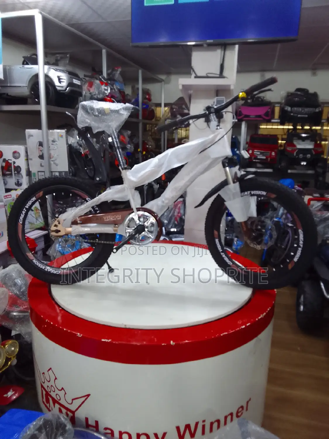 20 Inch Great Vision Rock It Boys Kids Bike,