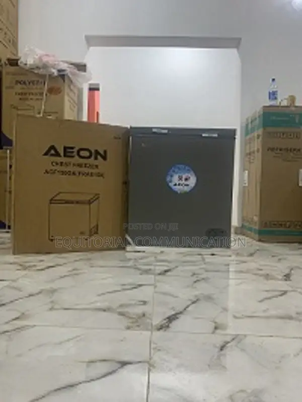 Fast-Selling Gray 150L Aeon Chest Freezer