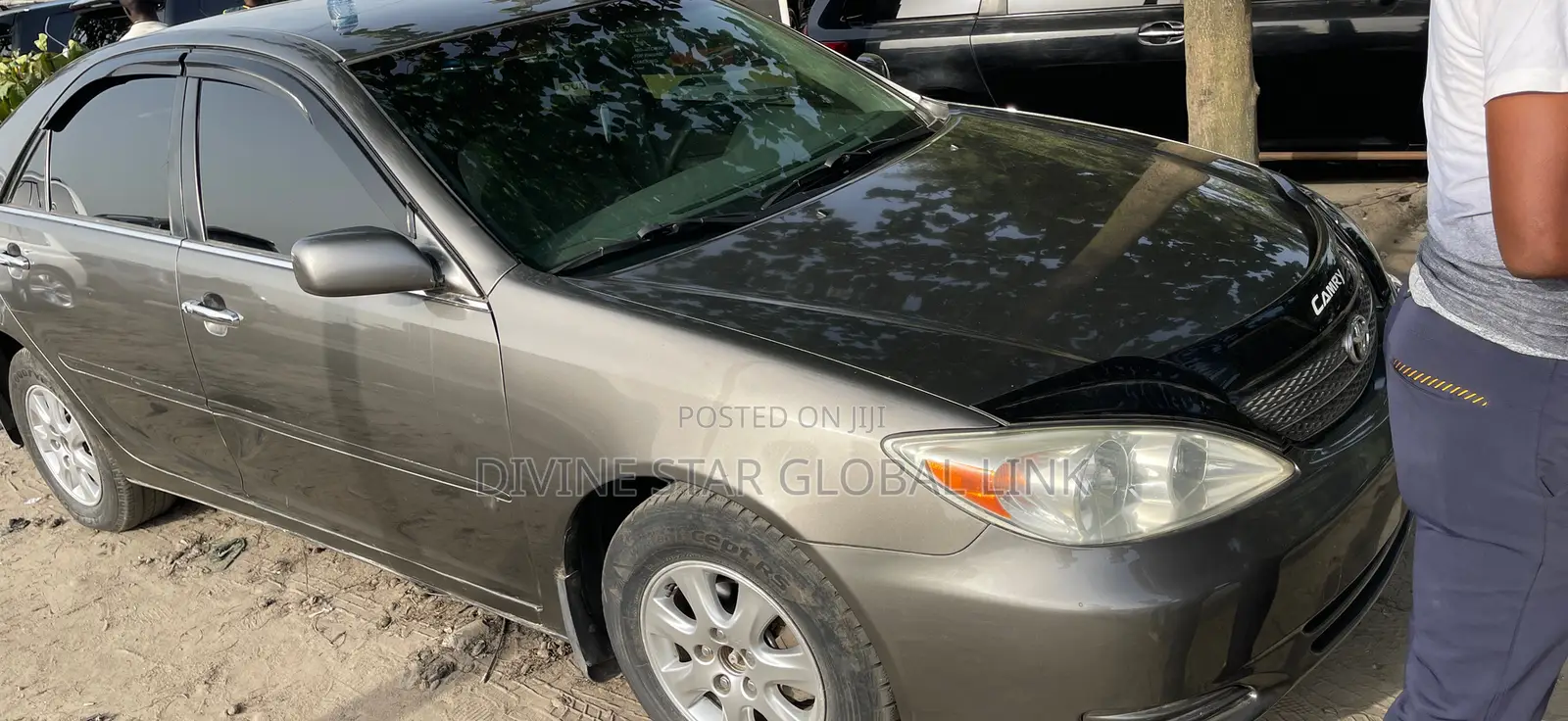 Toyota Camry LE V6 4dr Sedan (3.0L 6cyl 5A) 2004 Gray