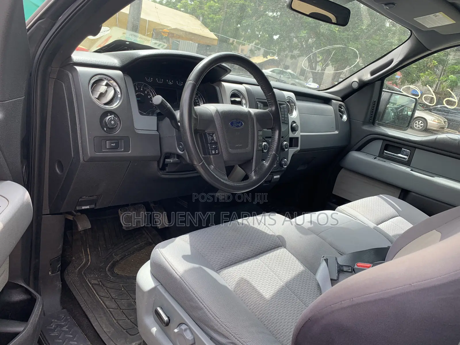 Ford F-150 2014 Gray