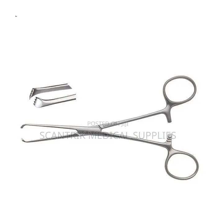 Allis Tissue Forceps for Teeth