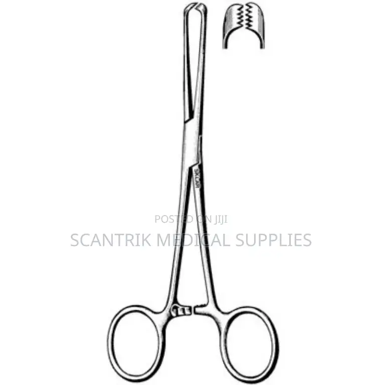 Tissue Forcep 5x6 Teeth
