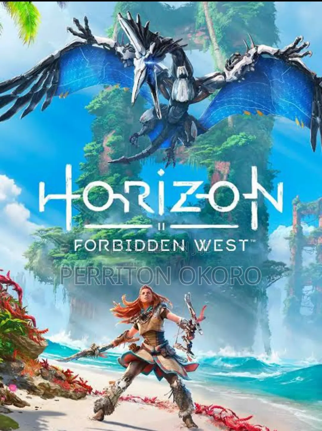 Horizon Forbidden West And All Laptop Games Download