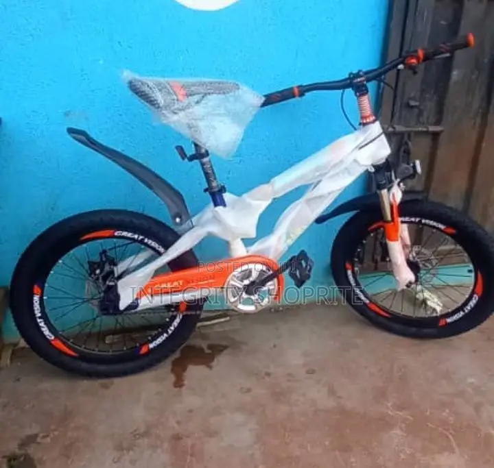 20 Inche Adult Sport Bicycle