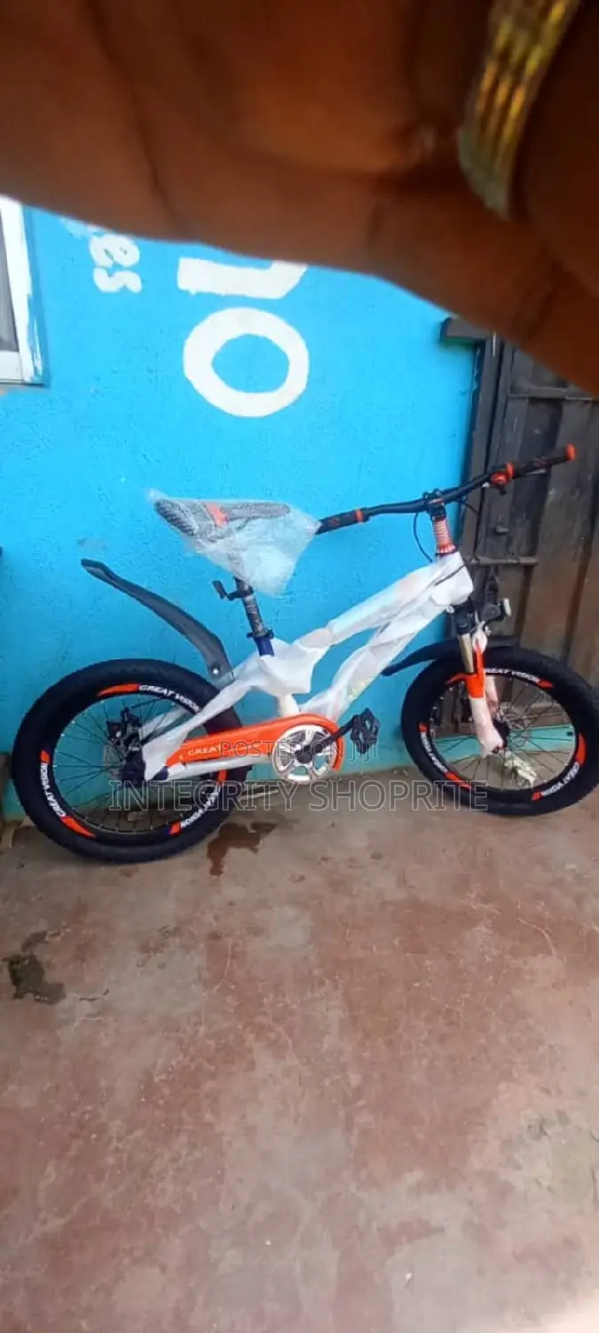 20 Inche Adult Sport Bicycle