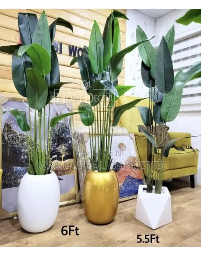 Beautiful Flower Pots