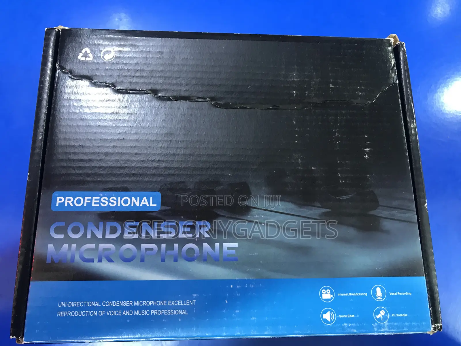 Professional Condenser Mic