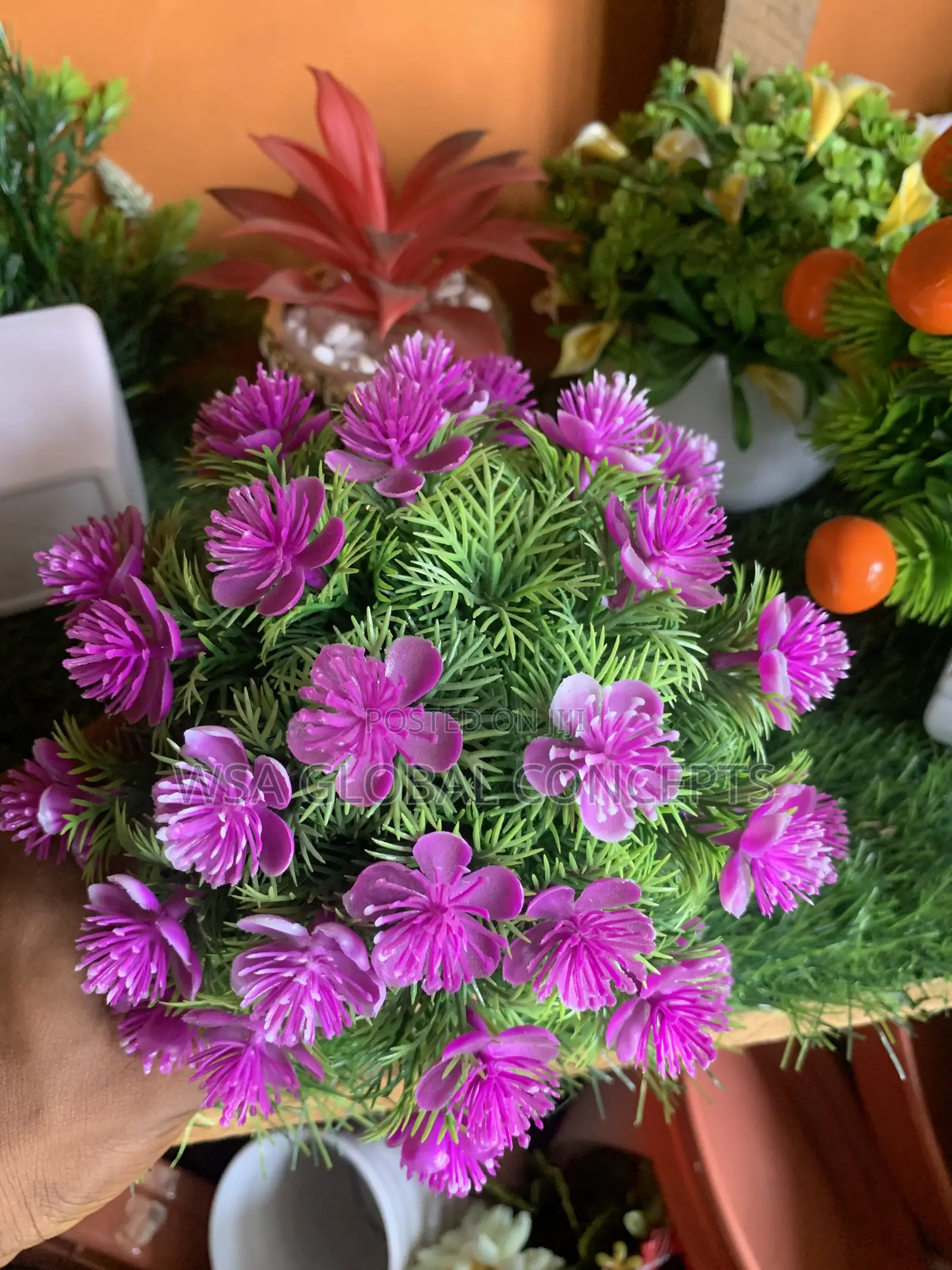 Beautiful Flower,Stone and Pot