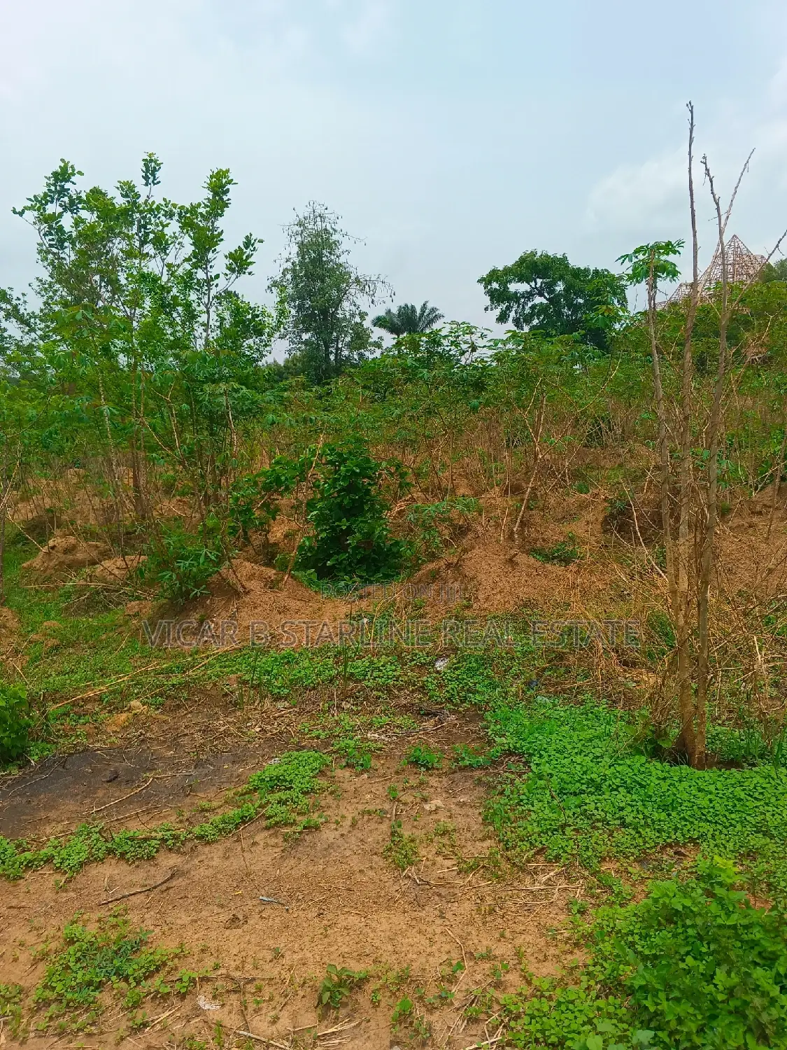 4 Plos of Land for Sale at Nkwoagu Abakaliki Ebonyi State