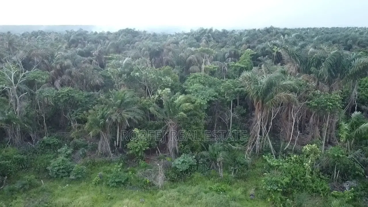 Prime 2 Acres Wet Land Opportunity