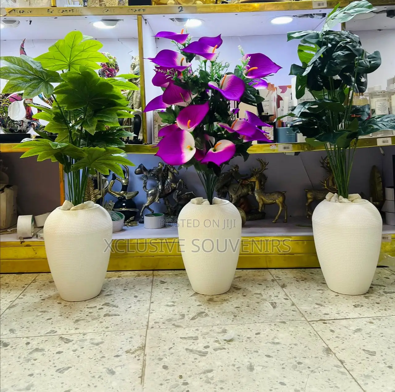 Beautiful Interior And Exterior Potted Plant Setup (85cm)
