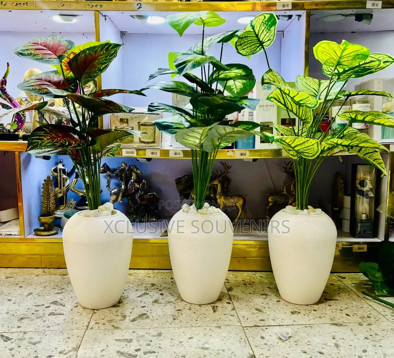 Beautiful Interior And Exterior Potted Plant Setup (85cm)