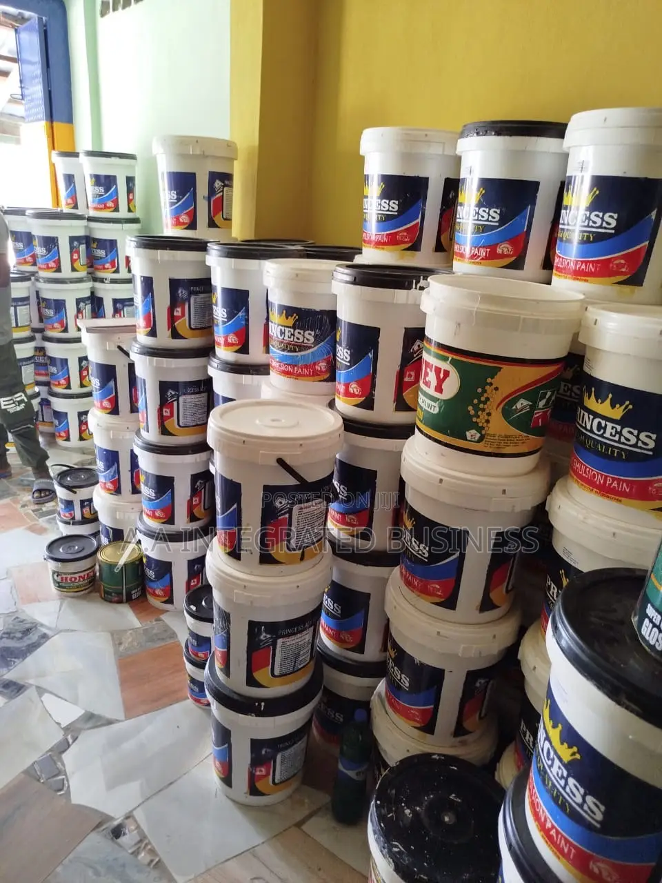 Princess Paint All Colors Available