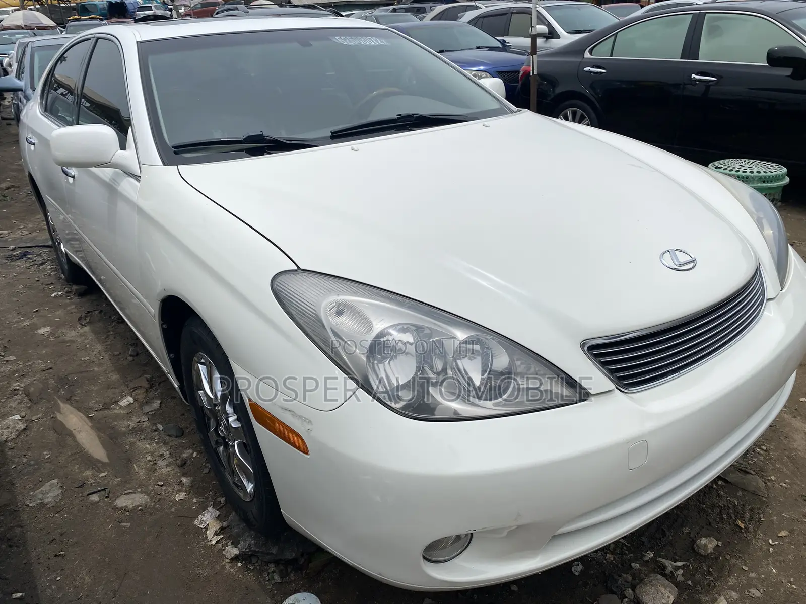 Lexus ES 330 2005 White