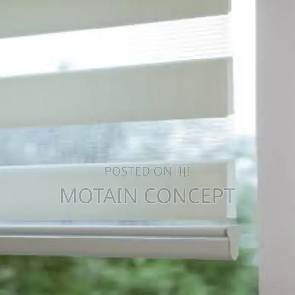 Day and Night Window Blinds