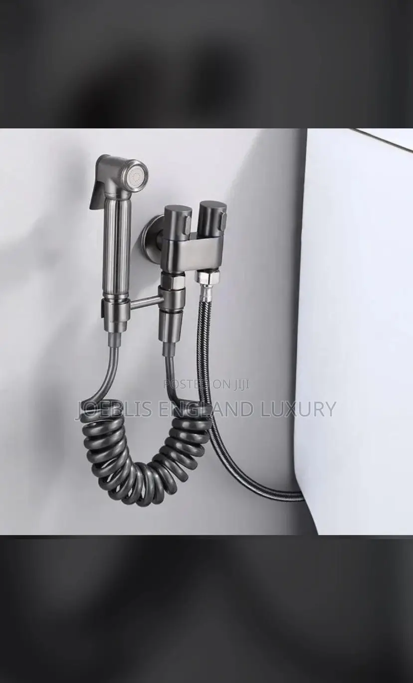 Modern and Moderate Bum Bum and Toilet Washer