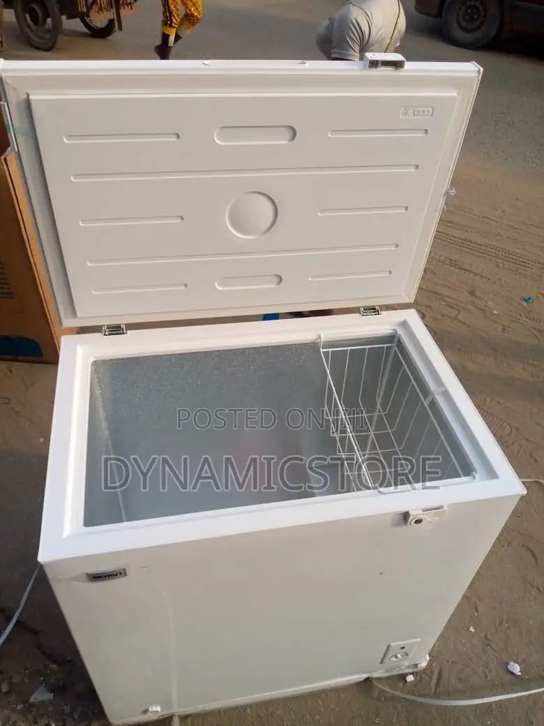 Skyrun Freezer 200L (200MW)